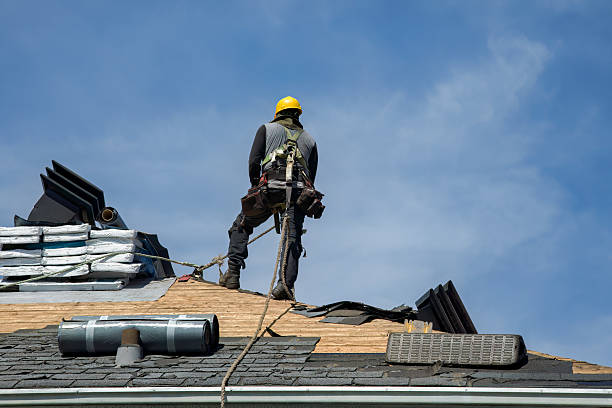Professional Roofing technician working in Ladiesburg, MD
